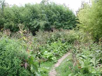 jardin en mouvement